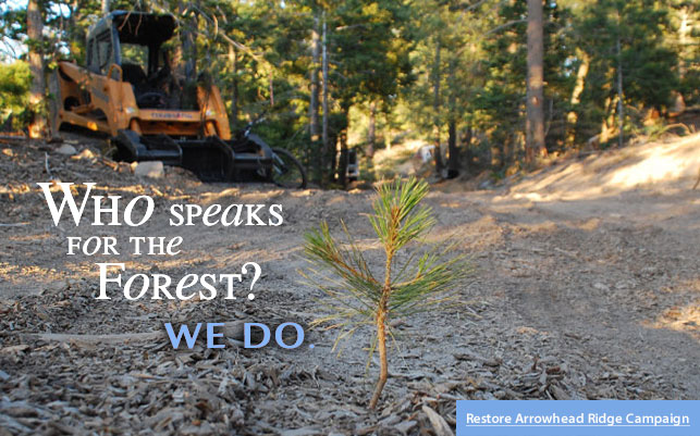 Arrowhead Ridge restoration area